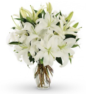 Classic White Lilies Cut Flowers