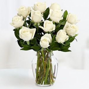 Classic White Roses  