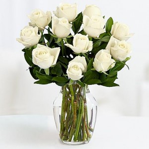 Classic White Roses
