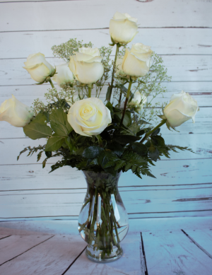 Classis White Long Stem  Roses  