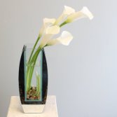 Classy Mini Calla Lilies LOCAL DELIVERY ONLY
