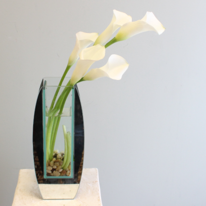 CLASSY MINI CALLA LILIES *LOCAL DELIVERY ONLY*
