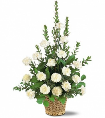Classy Carnations Funeral Basket