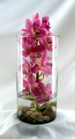 Classy Cymbidium Vase Arrangement