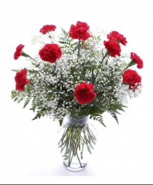 Classy Dozen Carnations Arrangement  