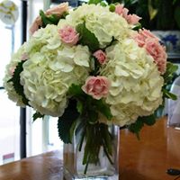 Classy Hydrangeas 