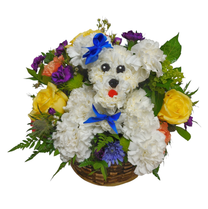 Classy Pooch Flowers