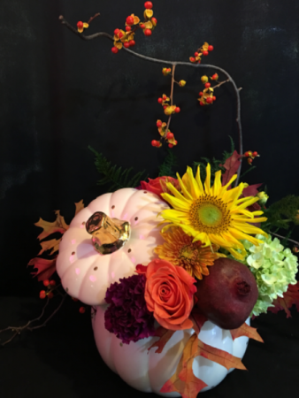 Classy Pumpkin