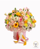 CLAUDIA BOX  