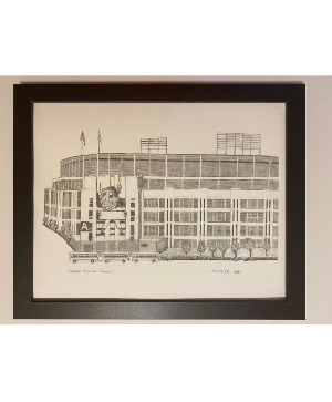 Cleveland Indians Stadium 