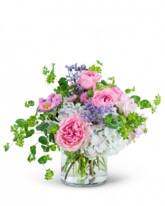 Category Image