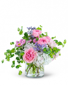 Category Image