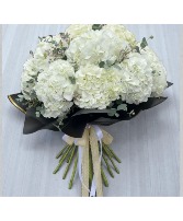 Cloud Nine Hydrangeas 