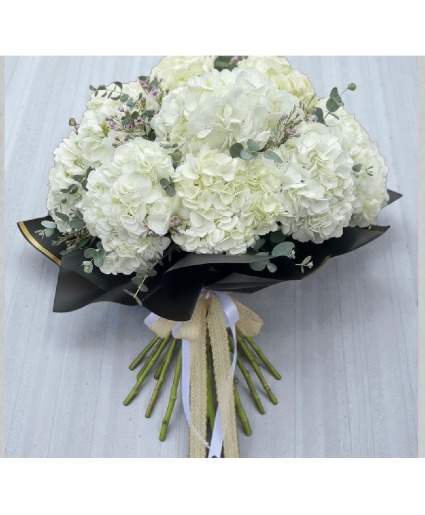 Cloud Nine Hydrangeas 