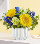Coastal Garden for DAD