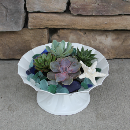 Coastal Oasis Succulent Garden