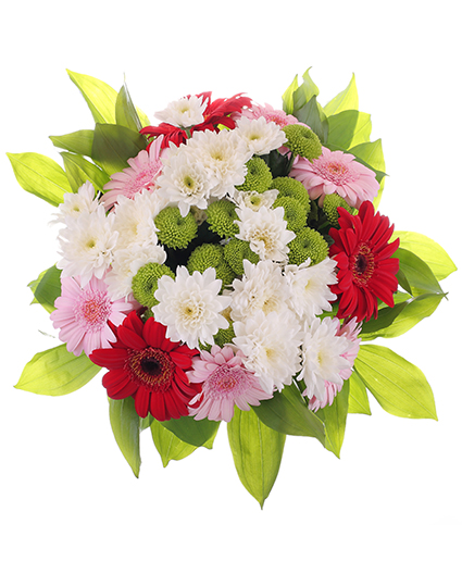Coco Bouquet
