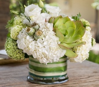 Coconut & Lime