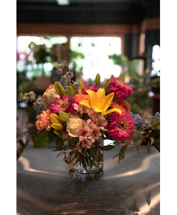 Color Blast  Locally grown flowers  in South Milwaukee, WI | PARKWAY FLORAL INC.