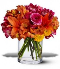 Color Blast Mixed Design