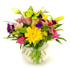 Color Bowl Mixed Springy Arrangment