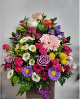 Color bright base Any occasion 
