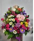 Color bright base Any occasion 