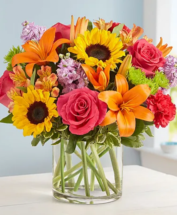 Color Burst Clear Cylinder  in Braintree, MA | Braintree Flowers