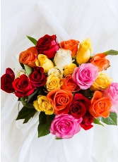 Color Burst  Designers choice Dozen 
