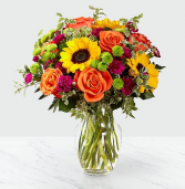 Color Craze™  Arrangement