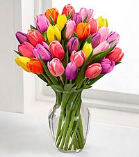 Color Crush
