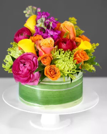 COLOR EXPLOSION CAKE  in Croton On Hudson, NY | Marshall's at Cooke's Flowers