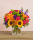 Color fiesta Birthday