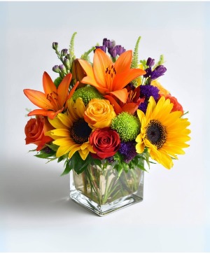 Color Me Cozy Arrangement