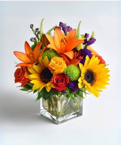 Color Me Cozy Arrangement