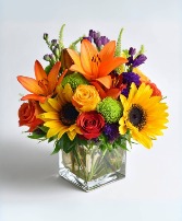 Color Me Cozy Arrangement