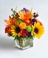 Color Me Cozy Arrangement