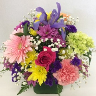 Color My World Cube  in Troy, MI | ACCENT FLORIST