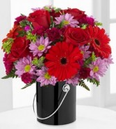 Color your day with intigue