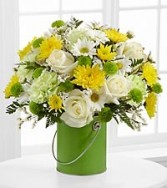 Color Your Day with Joy