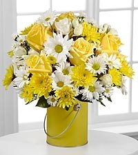 Color your Day with Sunshine