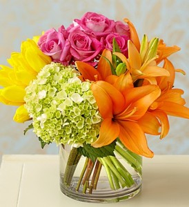 Colorburst of Spring in Camp Pendleton, CA | CAMP PENDLETON FLORIST Colorburst of Spring in Camp Pendleton, CA | CAMP PENDLETON FLORIST