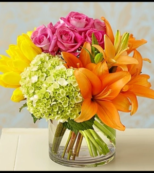 Colorburst of Spring™ Arrangement in Croton On Hudson, NY | Cooke's Little Shoppe Of Flowers Colorburst of Spring™ Arrangement in Croton On Hudson, NY | Cooke's Little Shoppe Of Flowers