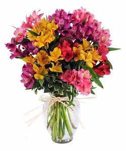 Colorful Alstroemeria Arranged in Vase fresh flowers