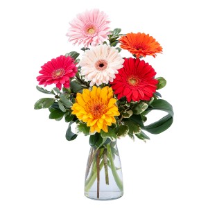Colorful! Arrangement