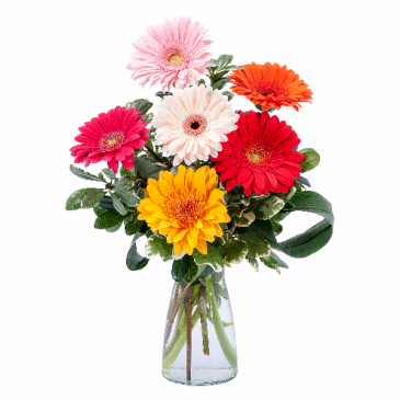Colorful! Arrangement