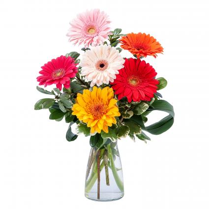 Colorful! Arrangement