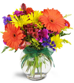 colorful arrangement