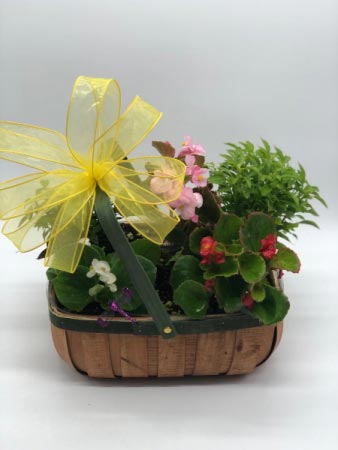 Colorful Bloom Basket Plant Basket