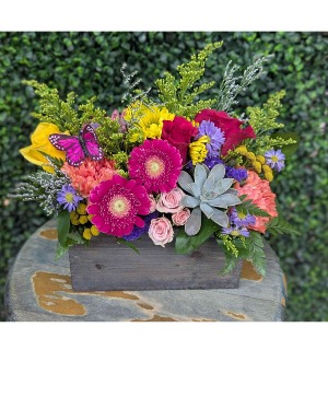 Colorful Burst Box  Fresh cut flowers in a lined wooden box